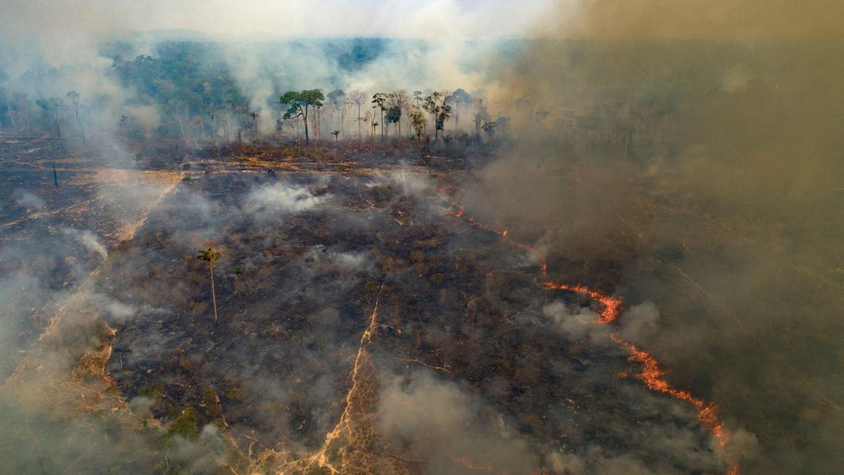Despite gains combating deforestation in Brazil's Amazon, forest ...