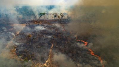 Despite gains combating deforestation in Brazil's Amazon, forest ...