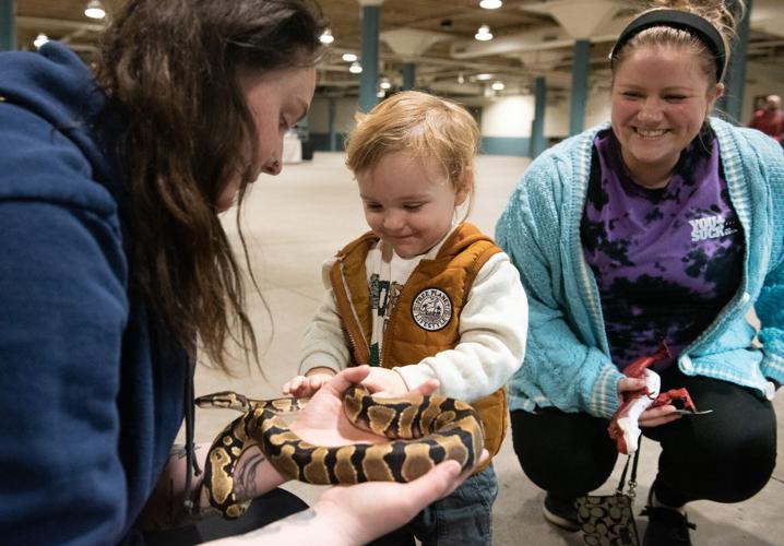 Reptiles – and their fans – invade Memorial Coliseum | Local