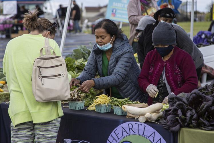 After slow start, incubator farm putting down roots Local