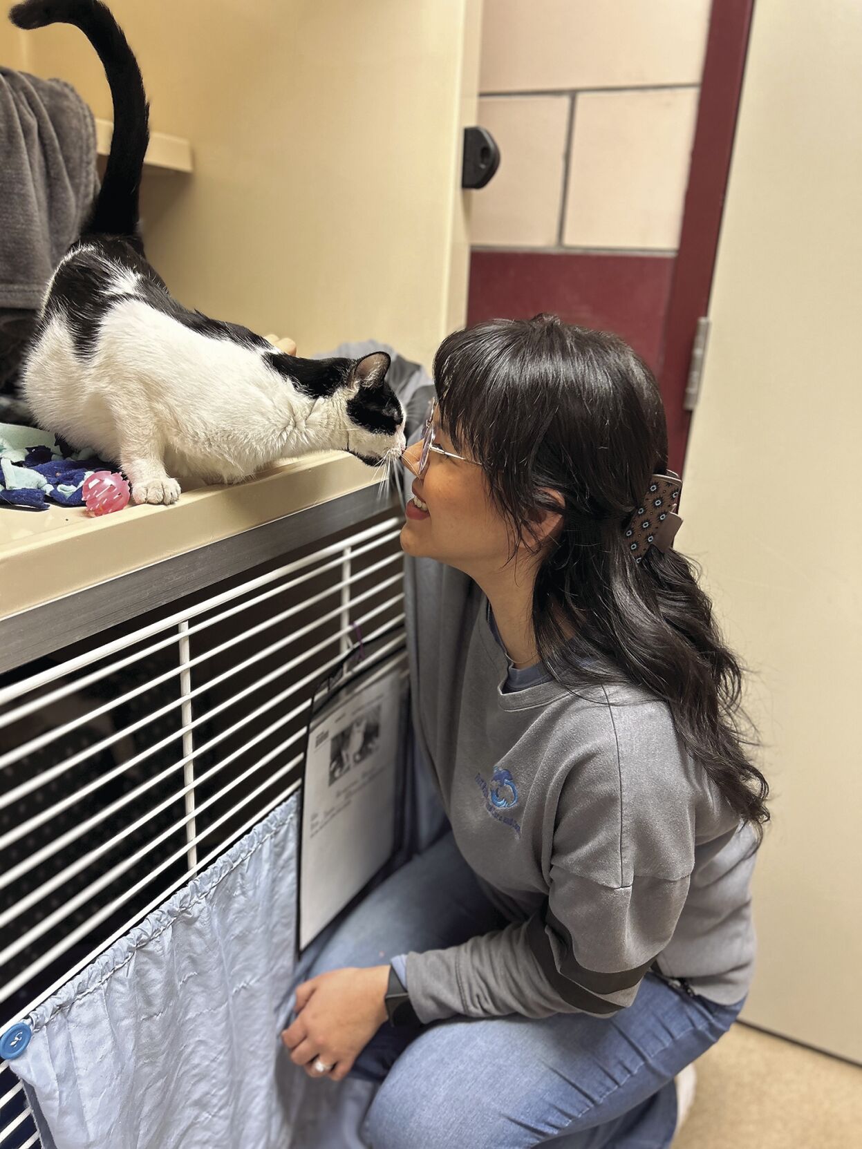 Five questions for Abigail Reyes, Fort Wayne Animal Care & Control ...