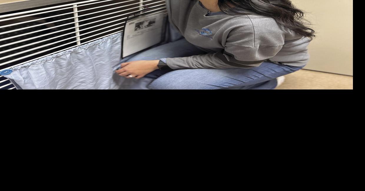 Five questions for Abigail Reyes, Fort Wayne Animal Care & Control ...