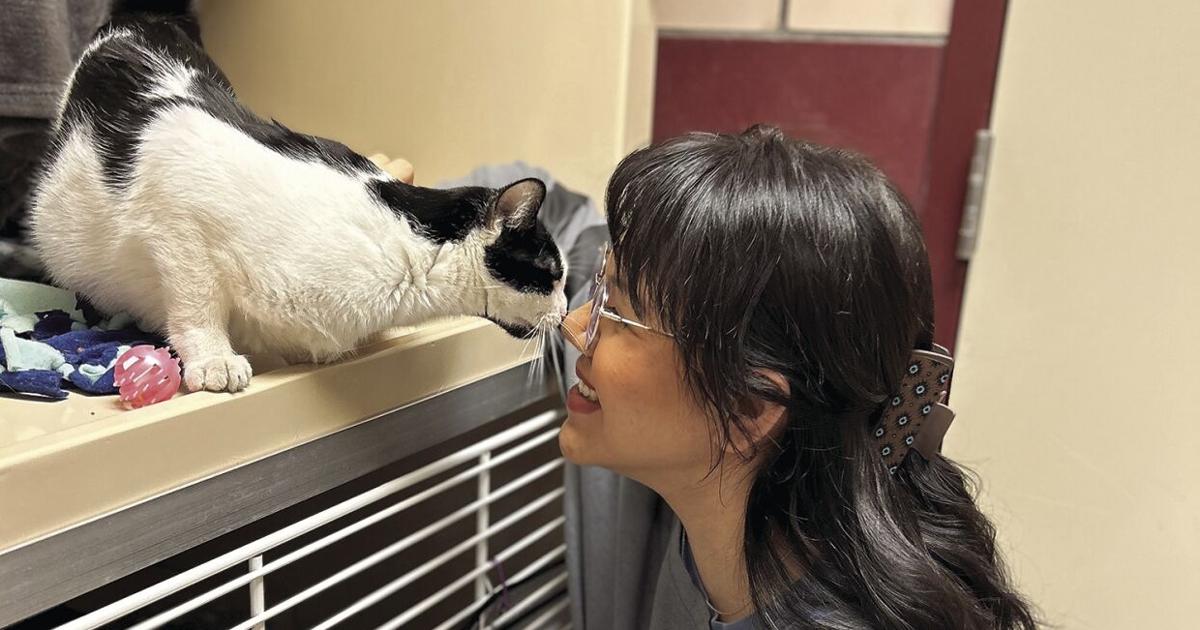 Five questions for Abigail Reyes, Fort Wayne Animal Care & Control ...