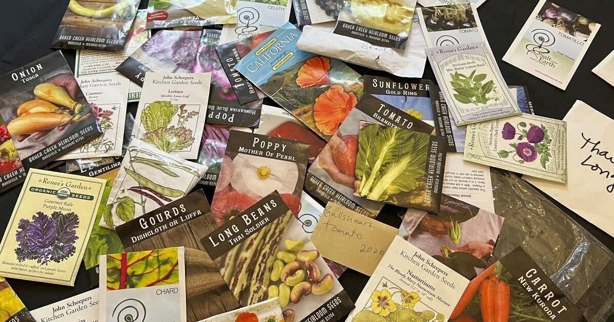 A glossary to help cut through seed-packet jargon and confidently plant indoors