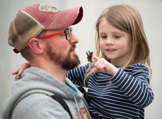 Butterflies fly back to conservatory for 'Color in Motion' exhibit