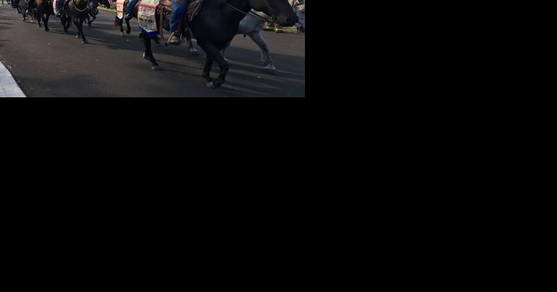 BraveHearts 20-mile horse ride to return to Allen County - Vimarsana News
