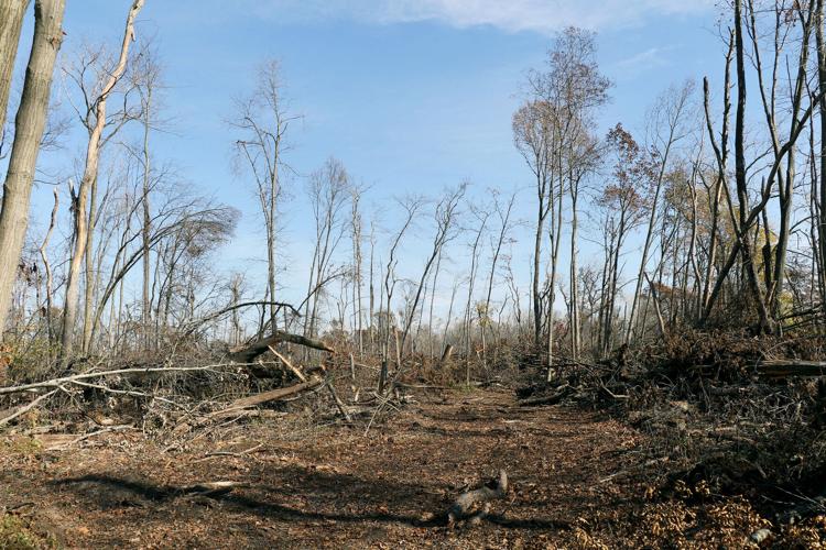 Response to Fox Island's derecho damage continues five months later