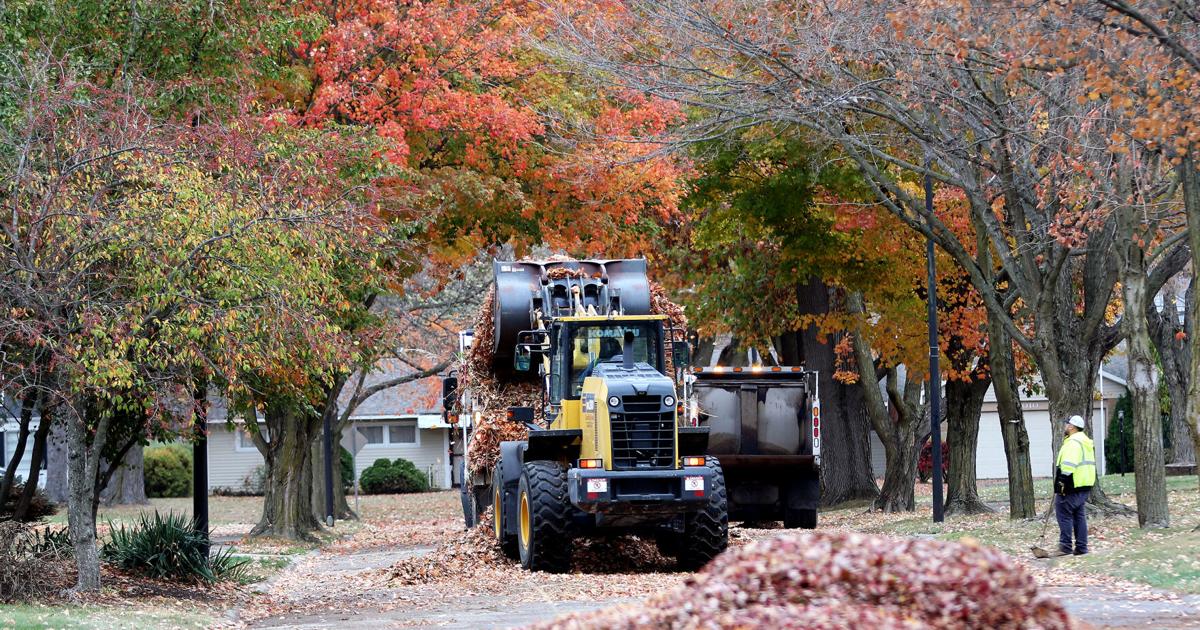 Leaf collection | Local | journalgazette.net