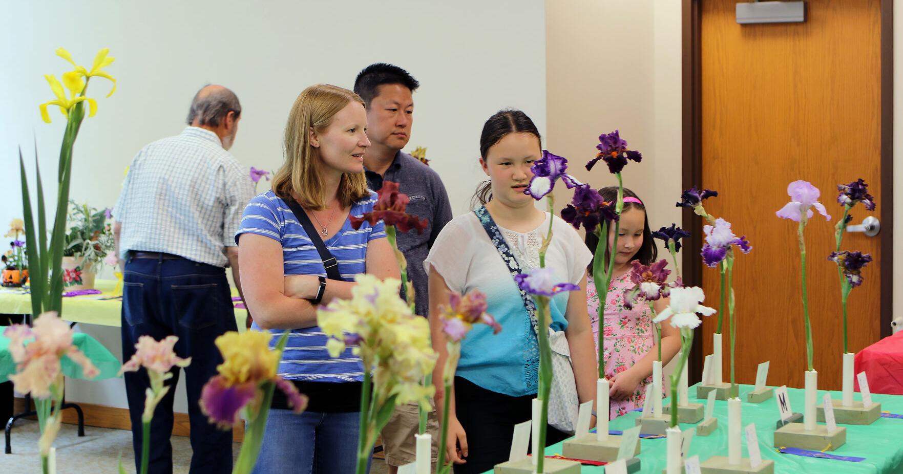 Irises wow Botanical Conservatory visitors - Vimarsana News