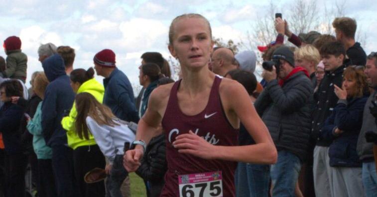 Concordia girls 2nd at cross country state; Homestead boys, girls on podium