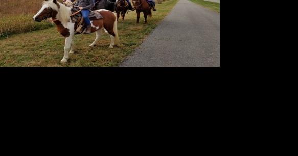 Allen County horse trail will cost 37% less than estimate - Vimarsana News