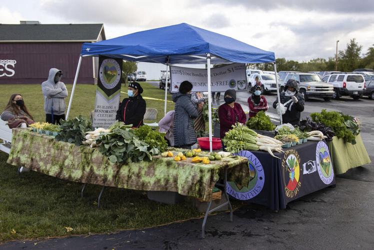 After slow start, incubator farm putting down roots Local