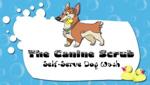 The Canine Scrub