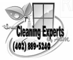 The Cleaning Experts