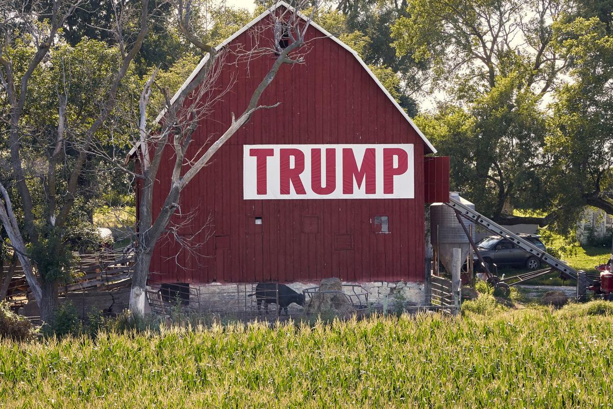 Trump barn (copy)