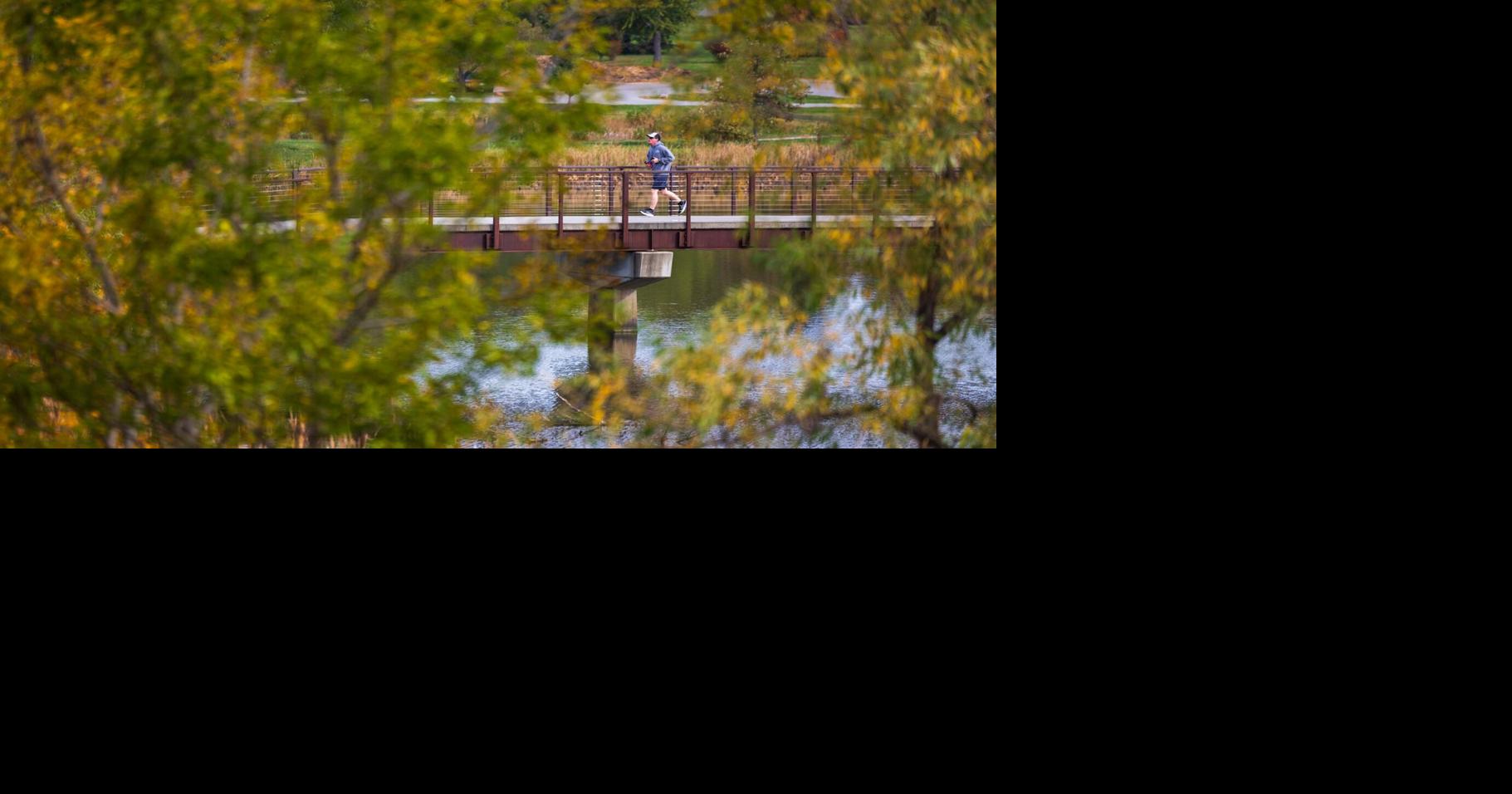 Fall Feature