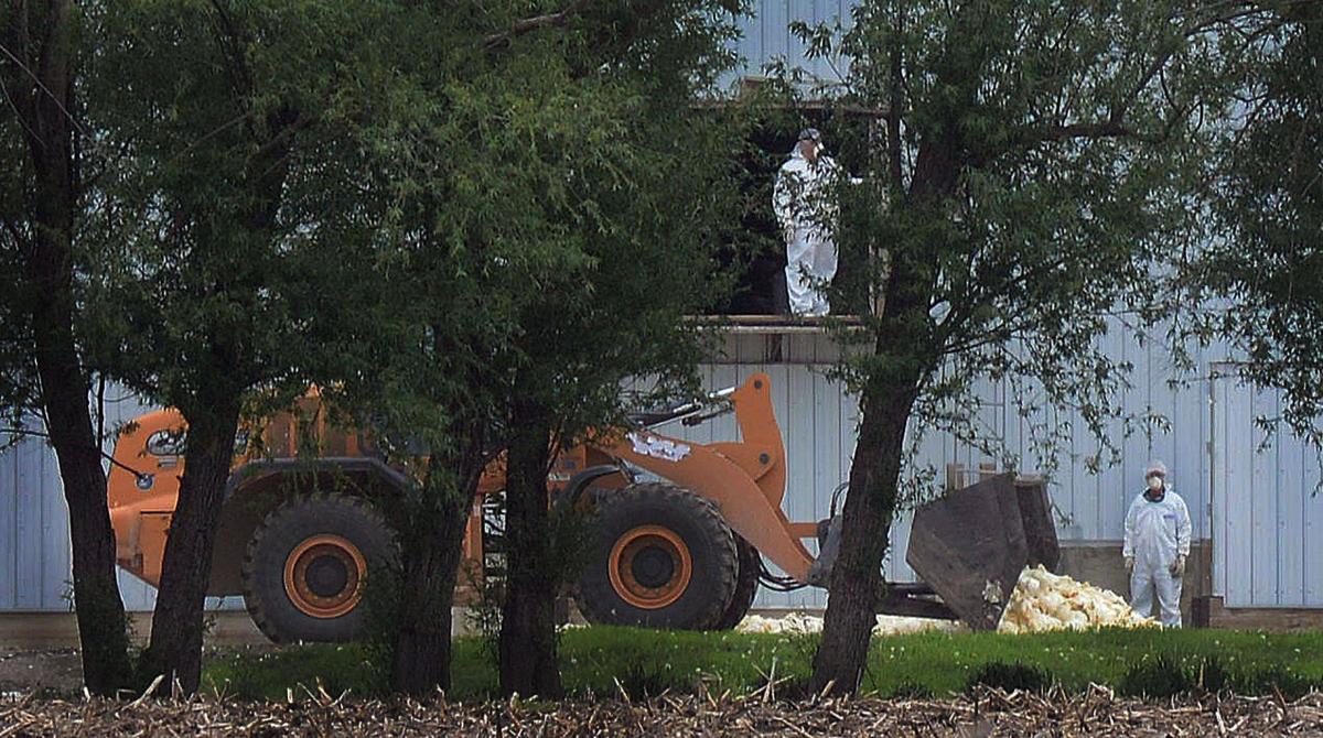 Nebraska bird flu quarantine lifted