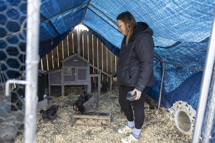Chicken coop, 2.4