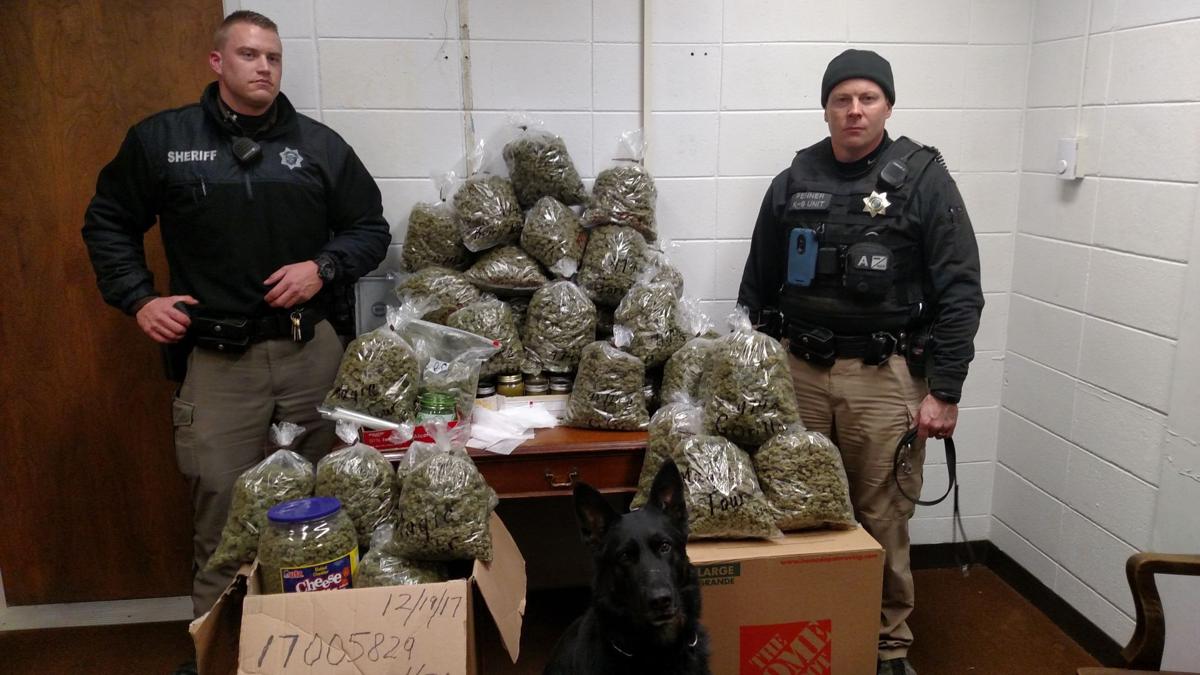 Marijuana seizure