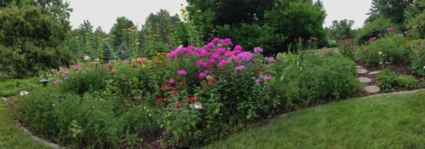 Summer garden