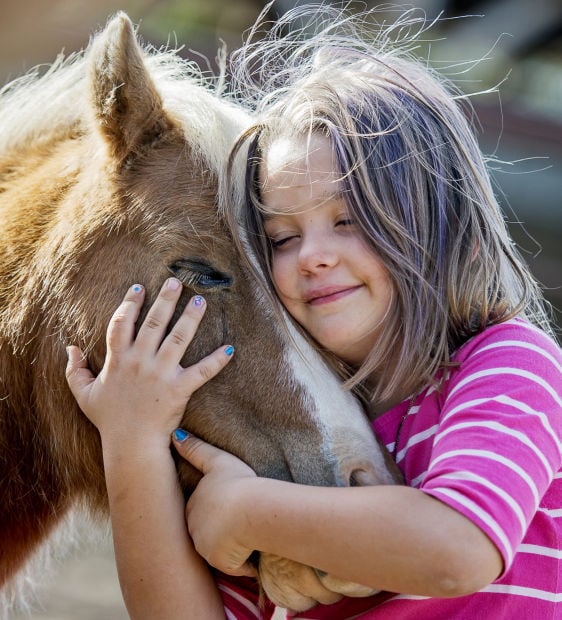 5 lost horses, 1 donkey and Facebook A story of Nebraska