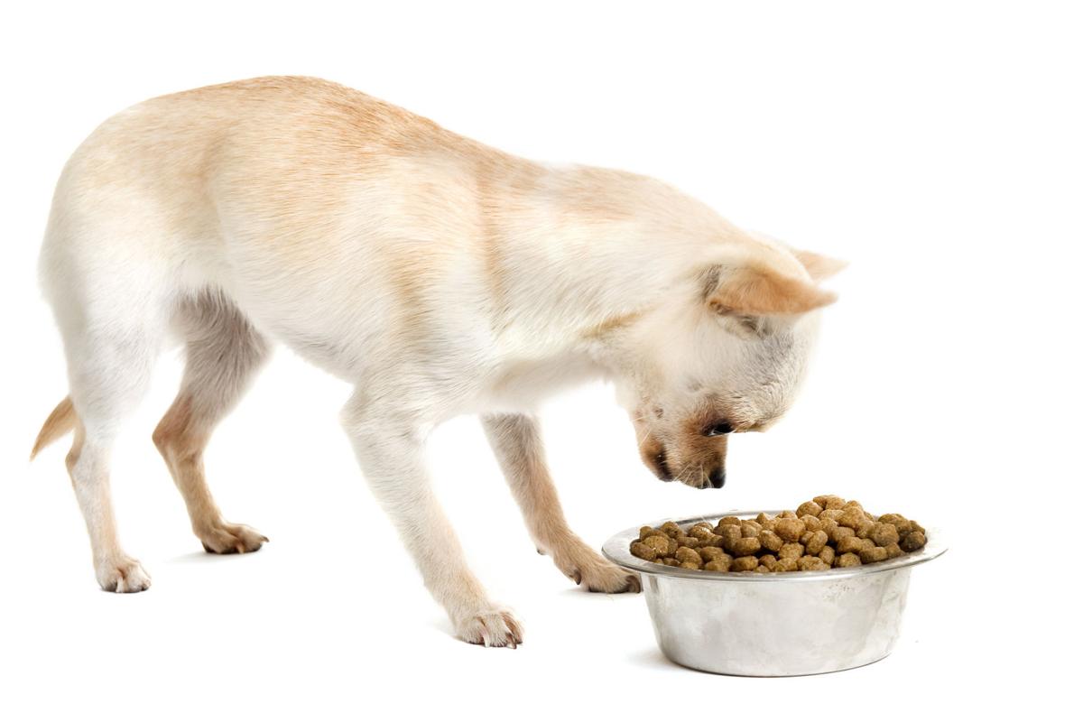Pet food