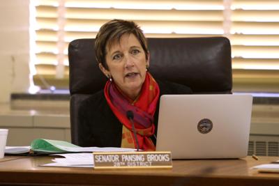 Sen. Patty Pansing Brooks