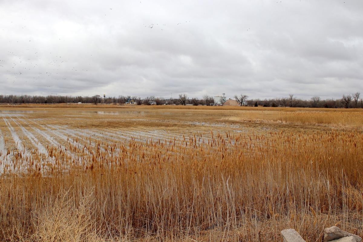City leaders cheer Sustainable Beef LLC’s plan to open 875-job meatpacking plant along Newberry Access