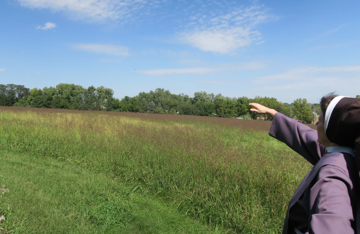 Franciscan Sisters mother house land