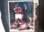Boxing Autographed Photo