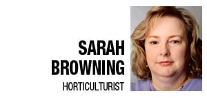 Sarah Browning
