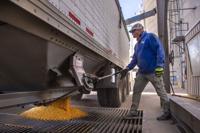 Top Journal Star photos for October