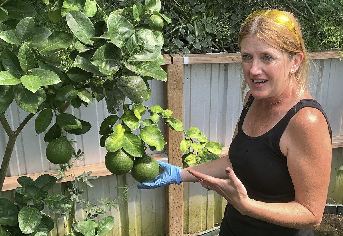 Exchange-Panhandle Greenhouse
