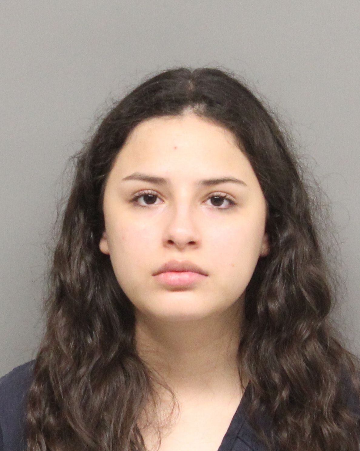 Lincoln woman charged with felony in connection to fatal hit-and-run