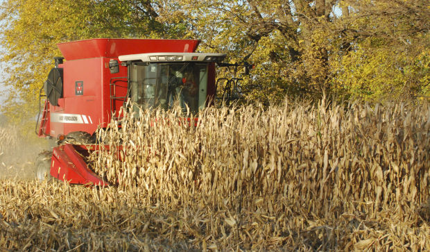 Nebraska corn harvest still lagging | Agriculture ...