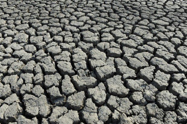 Climate scientists