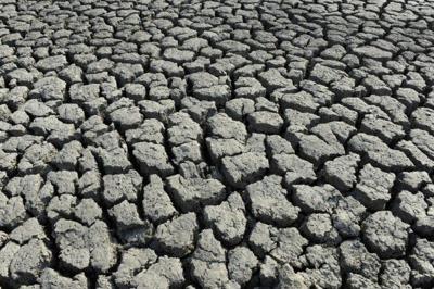 Climate scientists