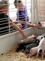 090621 NSF ANIMALS 2.jpg