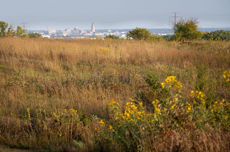 Nine Mile Prairie