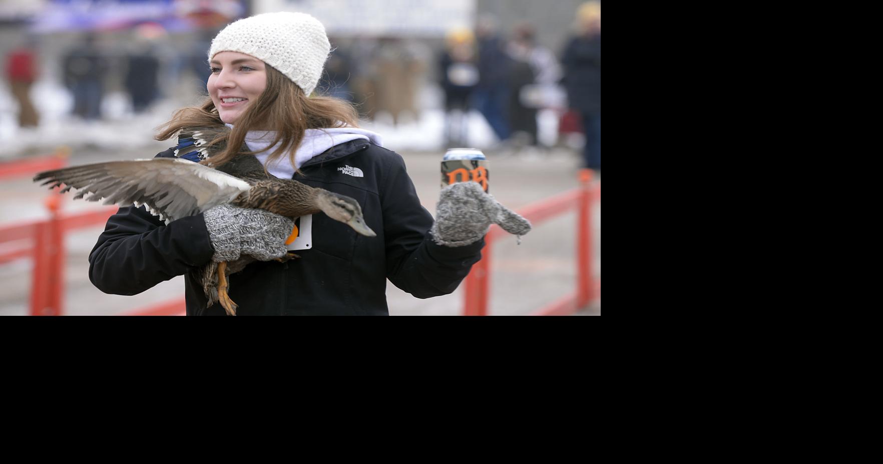 Photos Ducks draw thousands to Avoca for QuackOff