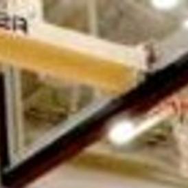 Bronco Men Finally Get Their Share Of Basketball Spotlight