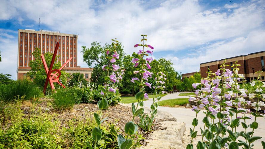 Atirath Roy named Chancellor’s Scholar at Nebraska