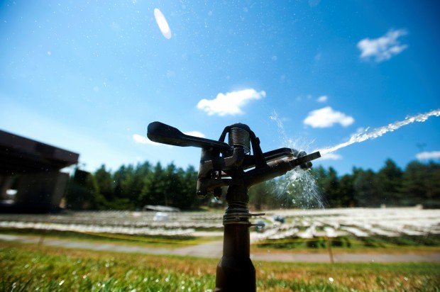 Pioneers Park Drought 8.10.2012