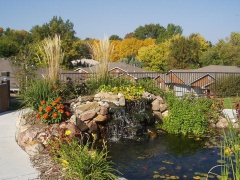 Pond in the Courtyard