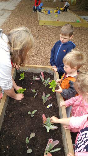 Christ Lutheran garden