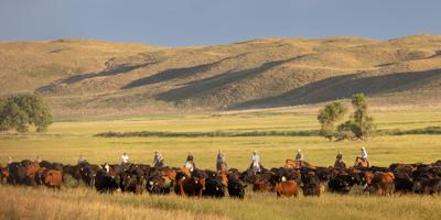 Who’s Buying Nebraska? After shopping spree, Mormon church is top land purchaser