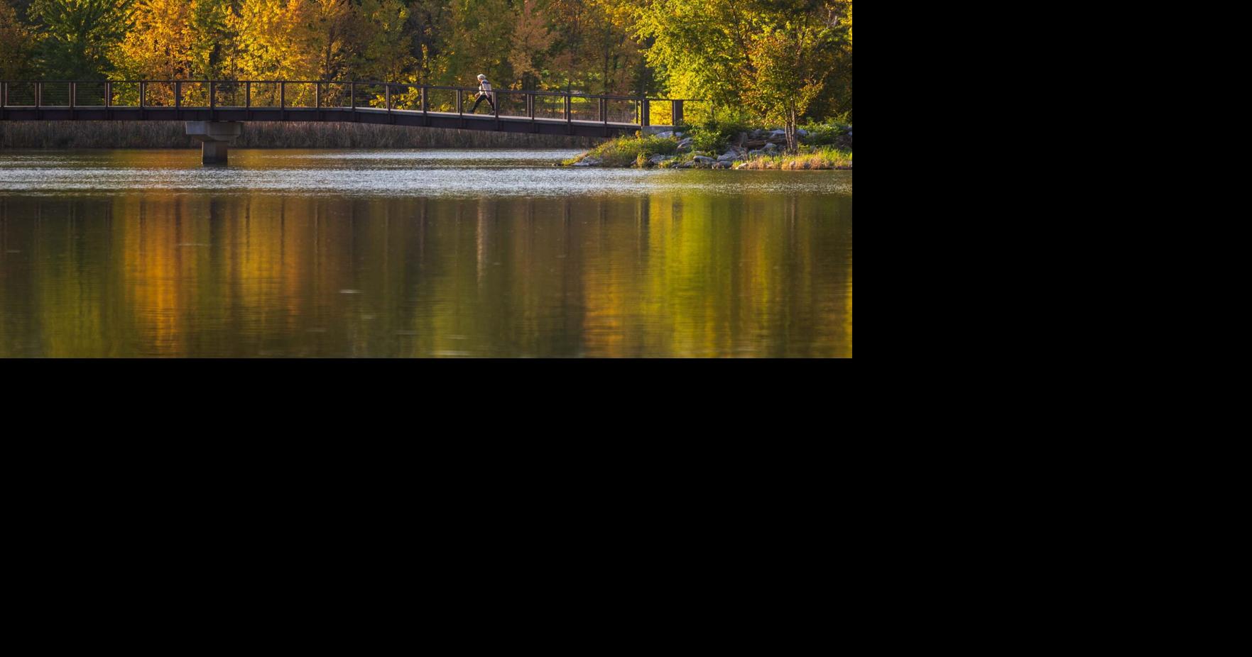 Fall Feature