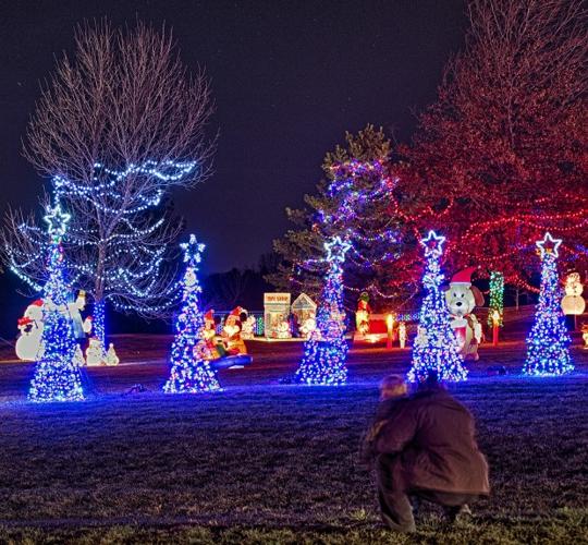 Bayer lights