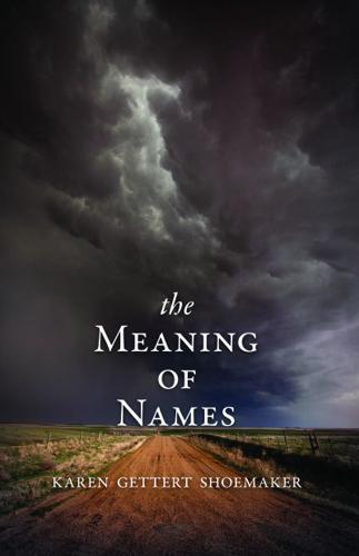 'The Meaning of Names' book cover
