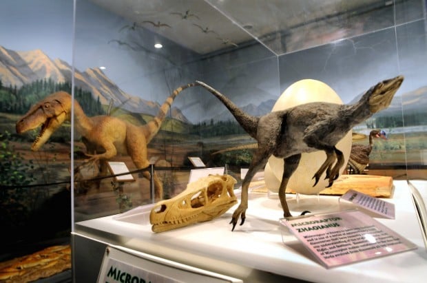 dinosaur museum near yellowstone